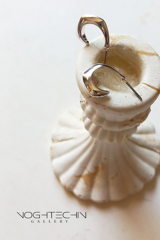 گوشواره زنانه برند استنلس استیل مدل چنگ طرح طلا وسیلور وارداتی